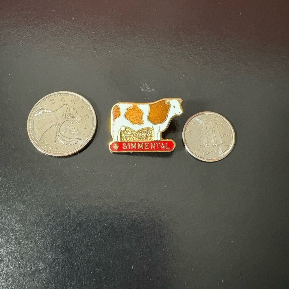 Simmental Cow Enamel Brooch/Pin - Picture 4 of 5